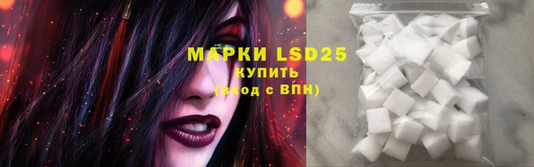 ГАЛЛЮЦИНОГЕННЫЕ ГРИБЫ Каменногорск