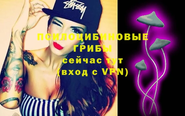 ГАЛЛЮЦИНОГЕННЫЕ ГРИБЫ Каменногорск